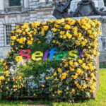 Best of Belfast: Private Walking Tour with a Local - The Breakdown of the Experience