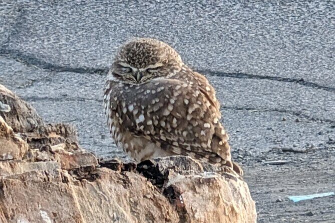 Best of Death Valley Small Group Day Tour from Las Vegas - The Experience: What Travelers Are Saying