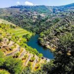 Best of Douro Valley Wine Full Day Private Tour - Deep Dive into the Itinerary