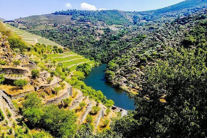 Best of Douro Valley Wine Full Day Private Tour - Deep Dive into the Itinerary