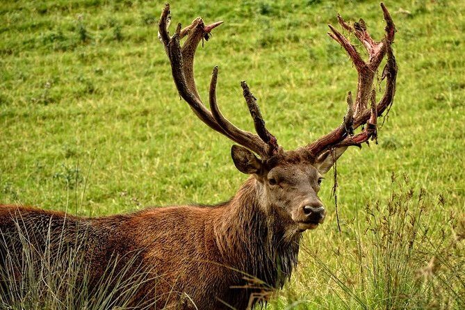 Best of Dublin in 4 days - What We Love About This Tour