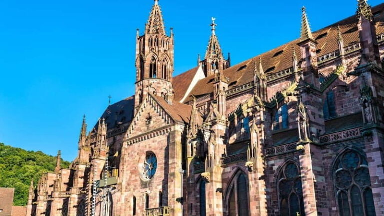 Best of Freiburg: Private Walking Tour with a Local - What to Expect on Your Freiburg Walking Tour