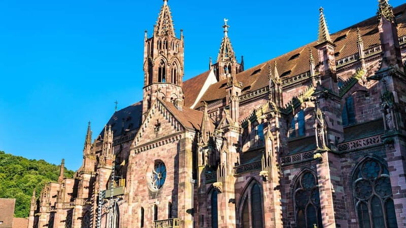 Best of Freiburg: Private Walking Tour with a Local - What to Expect on Your Freiburg Walking Tour