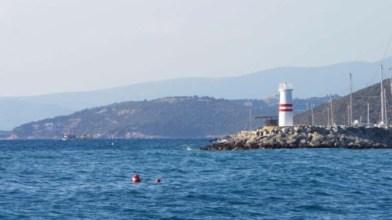 Best of Kuadas: Private Walking Tour with a Local - How Good Is the Value?