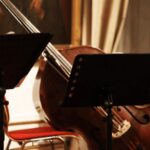 Best of Mozart & Strauss - What You Can Expect During the Performance