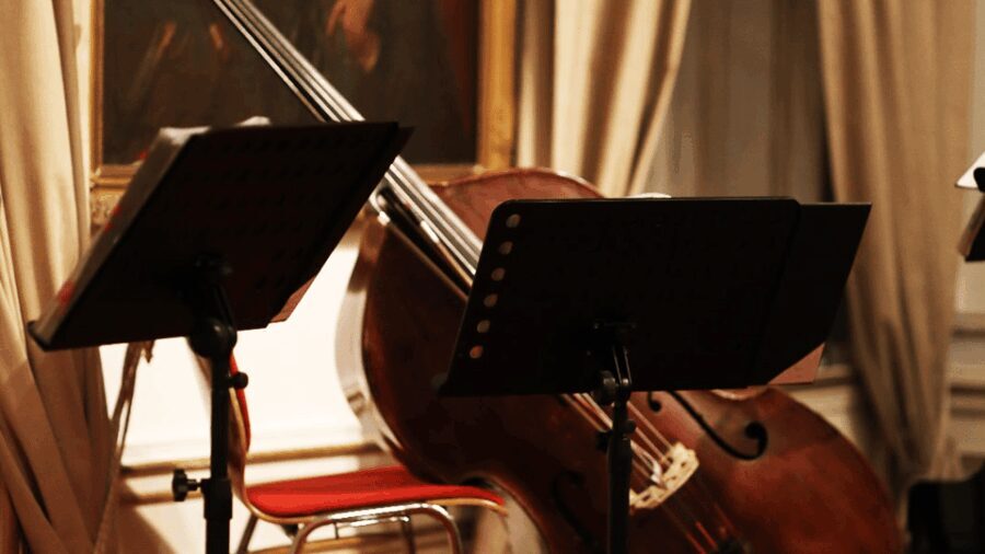 Best of Mozart & Strauss - What You Can Expect During the Performance