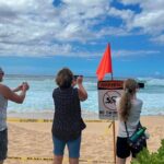 Best of Oahu Full-Day Small-Group Island Tour - Who Is This Tour Best For?