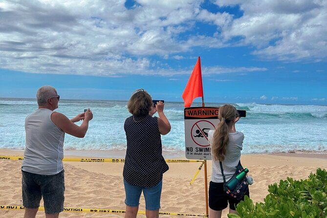 Best of Oahu Full-Day Small-Group Island Tour - Who Is This Tour Best For?