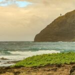 Best of Oahu: Pearl Harbor & Oahu Circle Island Tour from Waikiki - What Travelers Say