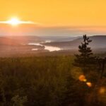 Best of Rovaniemi - Hidden gems and polaroid photos - An In-Depth Look at the Rovaniemi Hidden Gems Tour
