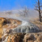 Best Of Yellowstone Full Day Nat'l Park Tour From Bozeman - The Value for Your Money