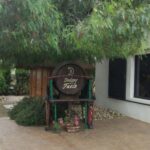 Best Winery Tour and Wine Tasting - Who Will Love This Experience?