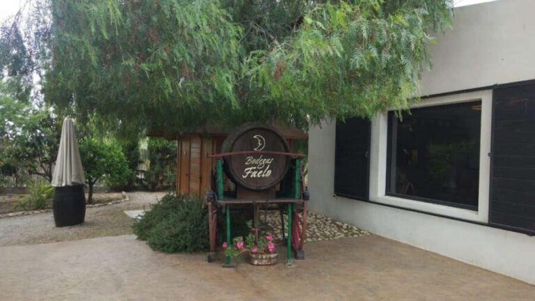 Best Winery Tour and Wine Tasting - Who Will Love This Experience?