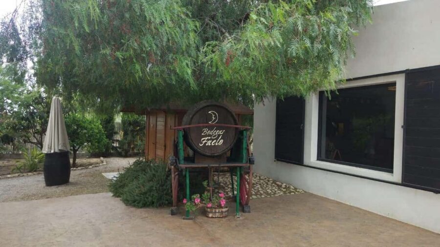 Best Winery Tour and Wine Tasting - Who Will Love This Experience?