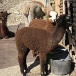 Between heaven and earth: Sanctuary of Madonna della Corona - What to Expect During the Itinerary