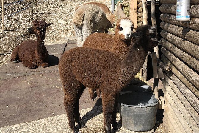 Between heaven and earth: Sanctuary of Madonna della Corona - What to Expect During the Itinerary