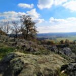 Beyond Brno: Secrets of Moravian Nature - Half-Day Tour - What’s Included & Practical Details