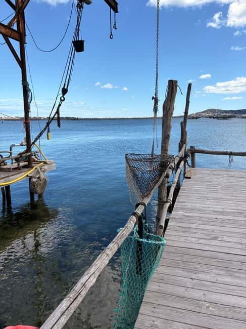 Béziers: Wine and Oyster Tasting Tour at Thau lagoon - Who Should Consider This Tour?