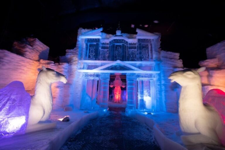 Biddinghuizen: Dutch Ice Sculpture Festival Entry Ticket - The Experience of Visiting