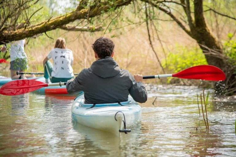 Biesbosch: Kayak Rental with Route Map and Life Jacket - The Experience of Going Self-Guided in Biesbosch