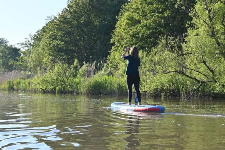 Biesbosch: SUP Board Rental - What You Can Expect During Your Paddle