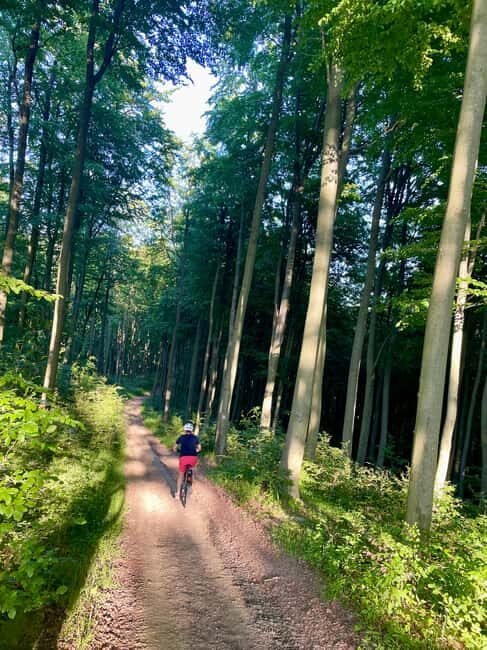 Bieszczady Mountains: Electric Bike Rental with Delivery - Final Thoughts