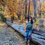 Big Bear Fall Colors Hiking Tour in Southern California - A Deep Dive into the Big Bear Fall Colors Hiking Experience