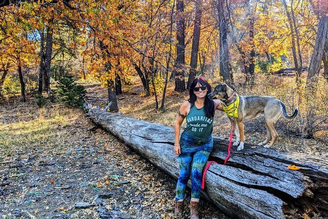 Big Bear Fall Colors Hiking Tour in Southern California - A Deep Dive into the Big Bear Fall Colors Hiking Experience