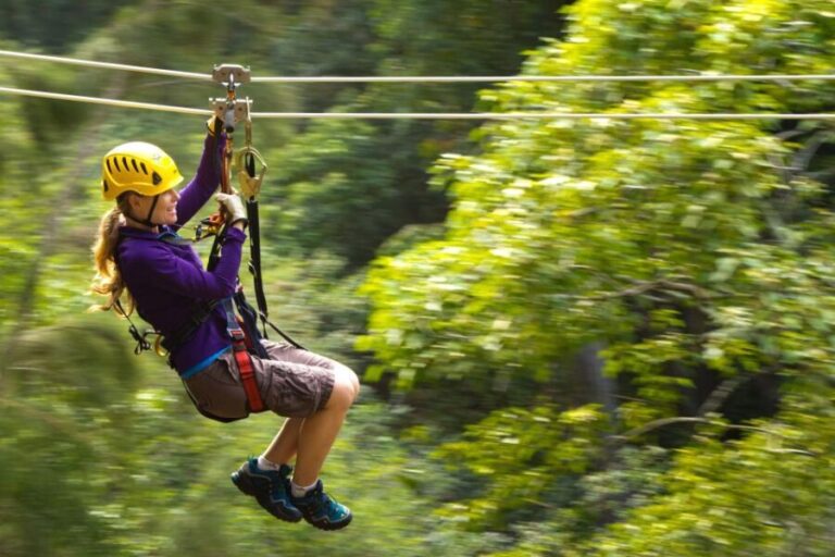 Big Island: 3-Hour Kohala Canopy Zipline Adventure - Pricing and Value