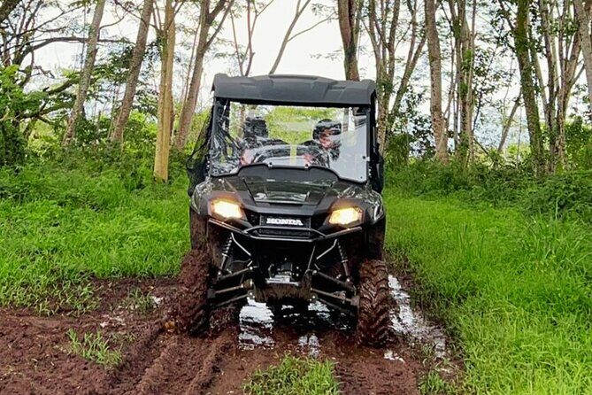Big Island Family Off Road Farm Adventure - The Review Highlights