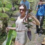 Big Island Jungle Tour with Banana and Guava Green Tea - What the Reviews Say