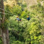Big Island Kohala Zip and Dip Tour from Kona - The Real Value of This Tour