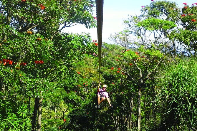 Big Island Zipline Adventure - Is it Worth the Price?