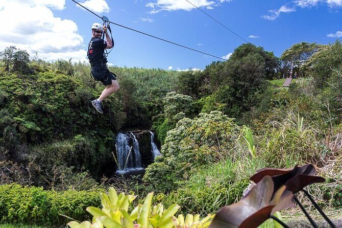 Big Island Zipline over KoleKole Falls - Diving Deeper: Why Youll Love This Tour