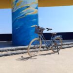Bike rental in Playa Malvarrosa - The Experience: What You Can Expect