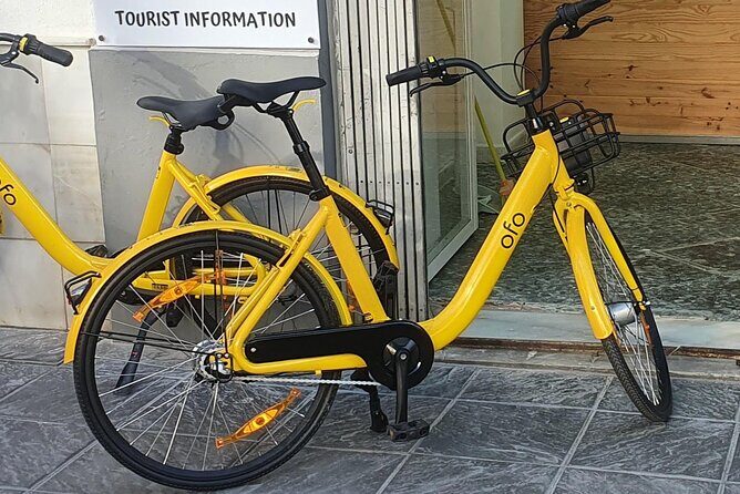 Bike Rental per Day in Seville - Final Thoughts