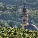 Bike Station Valpolicella: E-bike tour & Amarone Tasting - Who Should Consider This Tour?