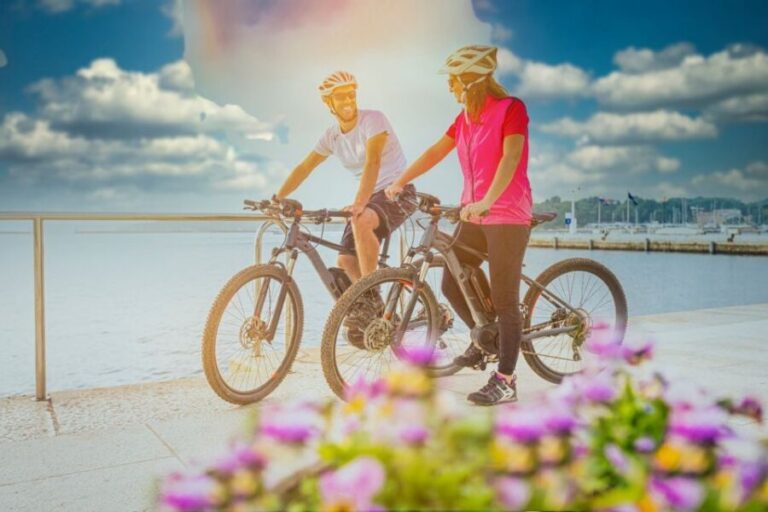 Bike Tour of Berlin Top Attractions with Private Guide - Key Points