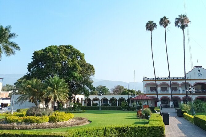 Bike tour to the Tule Tree and the Gastronomic Market - FAQ: Your Practical Questions Answered