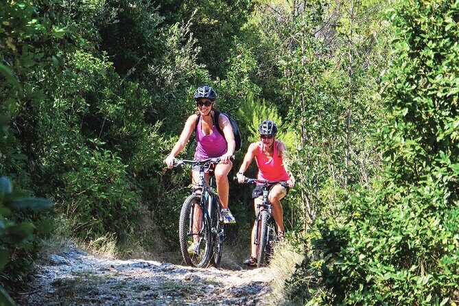 Bike & Wine Korula Adventure - Half Day Guided Bike Tour - What the Reviews Say
