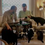 Bilbao: 1 Hour Entry Ticket to a Cat Café - Authentic reviews and what they tell us