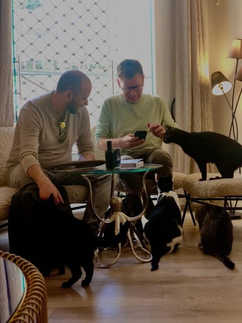 Bilbao: 1 Hour Entry Ticket to a Cat Café - Authentic reviews and what they tell us