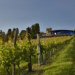 Bilbao Txakoli Wine Tour - A Closer Look at the Price & Value