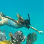 Biologist Owned & Operated: Dolphin Watching & Guided Snorkeling - An In-Depth Look at the Experience