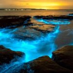 Bioluminescence Clear Kayak or Paddleboard Tour Near Orlando - The Value of This Tour