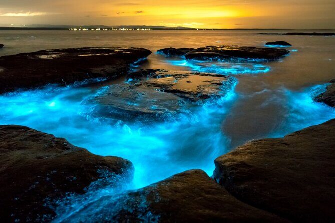 Bioluminescence Clear Kayak or Paddleboard Tour Near Orlando - The Value of This Tour