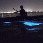 Bioluminescence Kayak Tour - The Sum Up