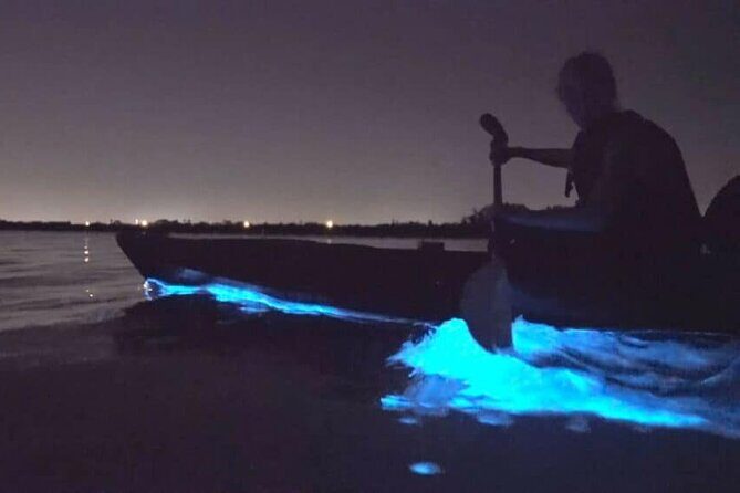 Bioluminescence Tour in Kayak in Holbox Island - What Makes This Tour Special?