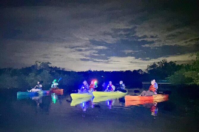 Bioluminescent Kayak Tour in Floridas Indian River Lagoon - Who Should Consider This Tour?