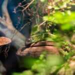 Bioparc Aquarium of Gijon Entry Ticket - What the Visitors Say